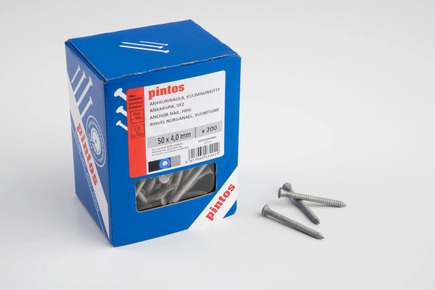Pintos Ankkurinaula KS 50x4,0 200kpl - Ankkurinaulat ja -ruuvit - 0011323 - 1