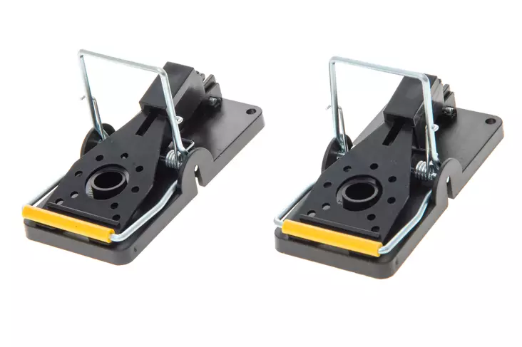 Hiirenloukku 2kpl - Tuhoeläinten torjunta - 0008987 - 1