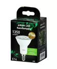 Airam Led Kasvilamppu 6,2W E14 400lm 1350 cd, 25 000h - Led-polttimot - 0003818 - 2