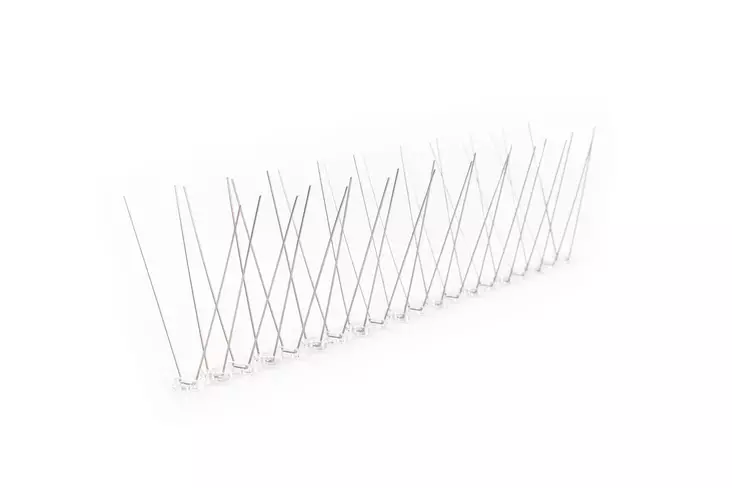 Lintupiikki 50cm, 5kpl - Tuhoeläinten torjunta - 0018278 - 1