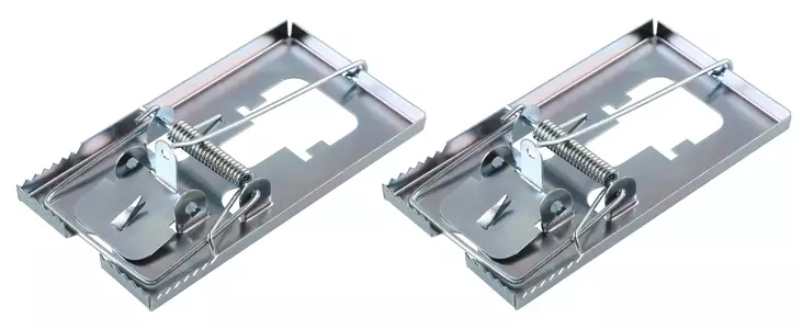 Hiirenloukku metalli 2kpl - Tuhoeläinten torjunta - 0008989 - 2